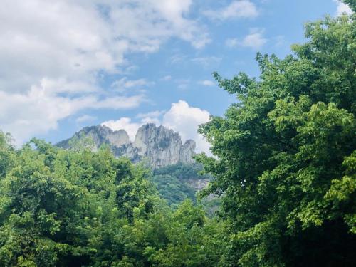 2022 WV 37 State Meeting in Elkins, WV